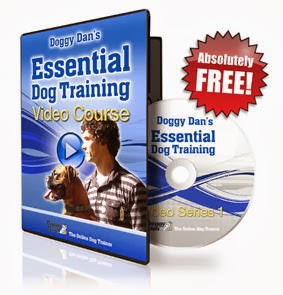 Doggy Dans Online Dog Trainer: Video Membership From Top Dog Trainer