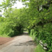 View album