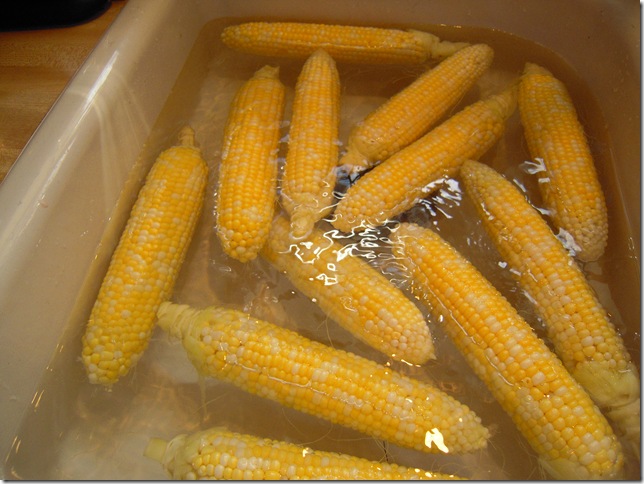 corn 004