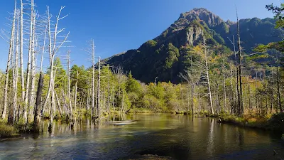 River, Mountain, Trees, Autumn, Landscape