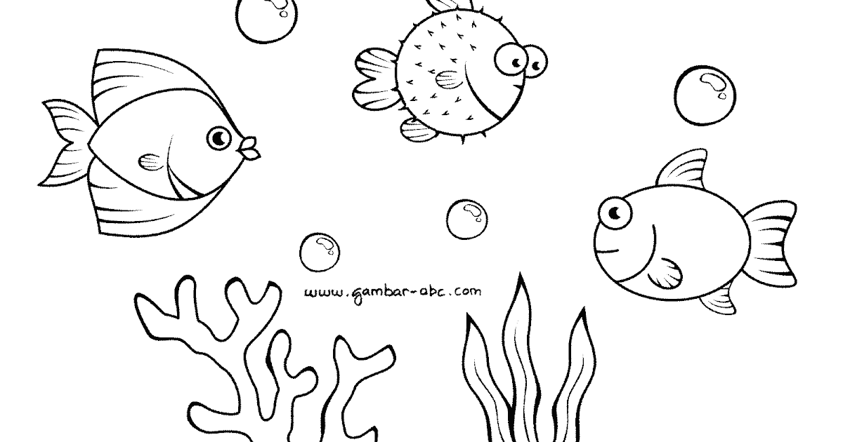 Ikan Lucu Sederhana Mudah Ditiru - Contoh Gambar Mewarnai