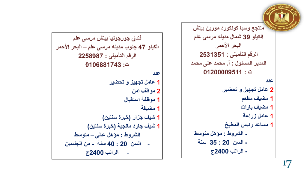 وزارة القوى العاملة: توفر 1992 فرصة عمل في 56 شركة بـ 15 بمحافظة