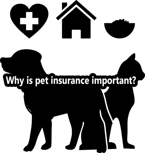 What is pet insurance?