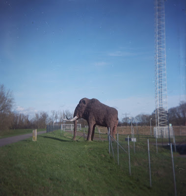 Dacora Daci met Kodak Portra 160: Mammoet, Groessen