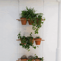 Etcetera Window Box