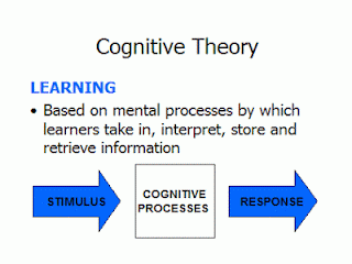  The cognitive orientation to learning