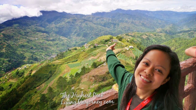 Rice Terraces 2013