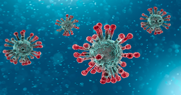 What is the Coronavirus?