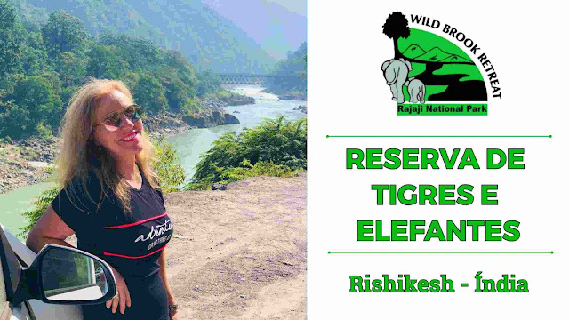 Rajaji National Park Rishikesh