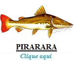 Peixe, Pirarara