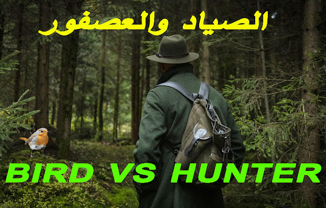 bird vs hunter