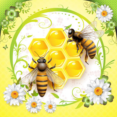 Honey & Bee Vector