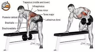 10 Best Compound Exercises for the Biceps