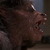 Ten Real-Life Werewolves in Human History