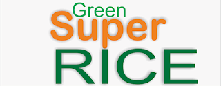 Deskripsi Inpari 43 Agritan Gsr (Green Super Rice)