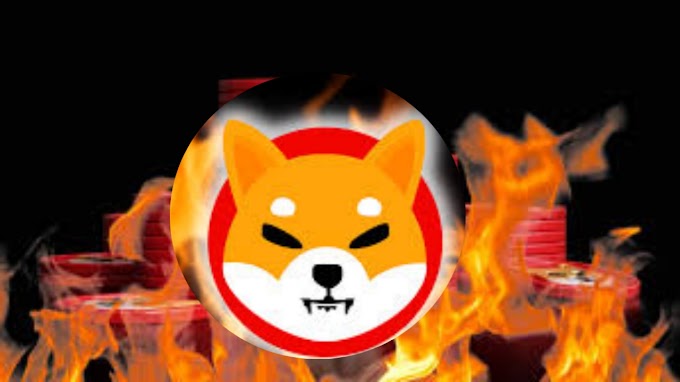 How Does "Burn" Affect The Price of Shiba Inu?