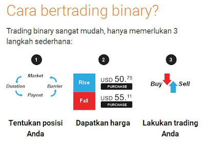 cara cepat kaya dengan bisnis binary