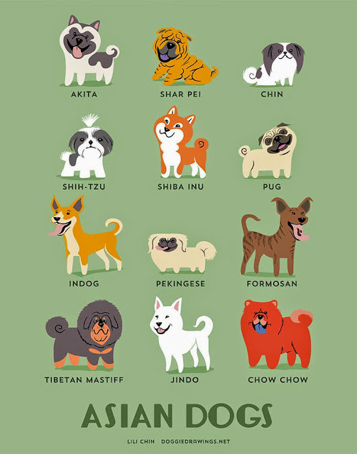 “Dogs Of The World” pósters para conocer el origen de varias razas de perros