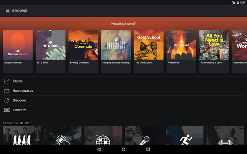 Spotify Music Apk