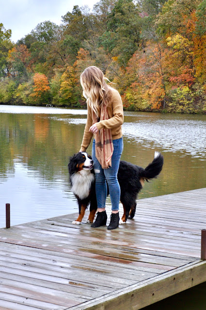 girl and dog playing on the dock