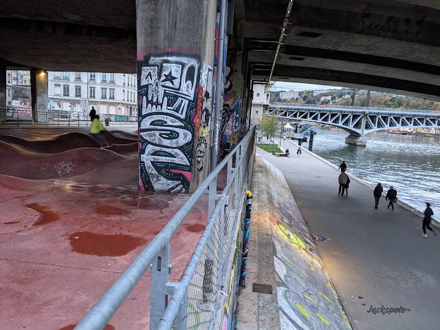 skatepark bowl lyon perrache quais