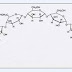 Struktur Karbohidrat : Polisakarida