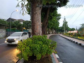 "taman cempaka, taman publik penghias sudut kota"