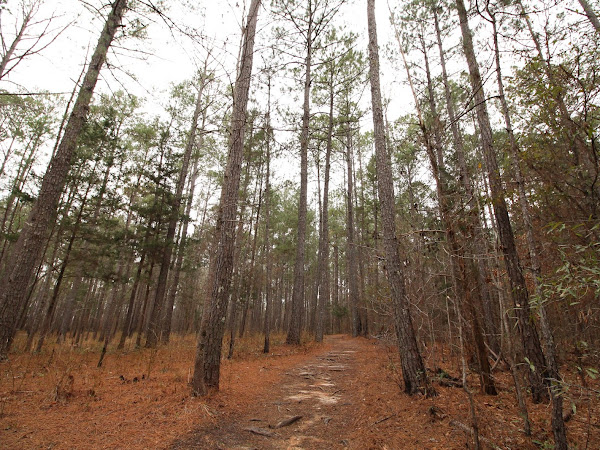 Louise Kreher Ecology Preserve