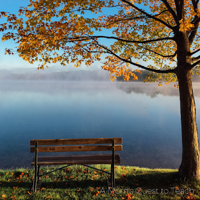 Fall scene with a bench by a lake