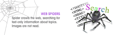 google bot web-spider-crawl-website