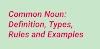 What Is a Common Noun? | Definition, Rules & Examples