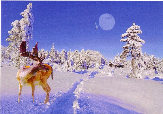 Old Postcard From Finland Limited Edition Stamps Collection