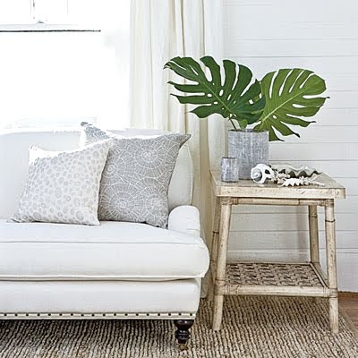  Palm  Leaves  Fronds  Simple Decor  Ideas  for Adding Green 