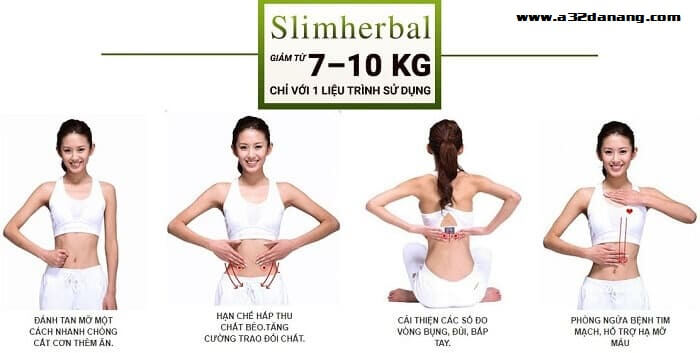 cơ chế hoạt động giảm cân slimherbal