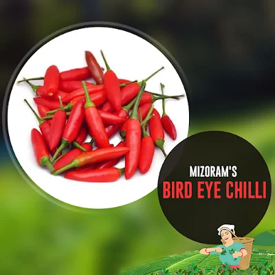 Agriculture Minister Pu C. Lalrinsanga on Monday informed that Mizoram would soon export ‘Bird's eye Chili’, a typical Mizo organic chili, to the United State (US) for the first time.