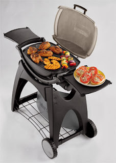 Outdoor Gas Grills Weber Q 220 Gas Grill