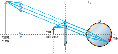 光と色と The Next 中学理科凸レンズの虚像の学習の疑問点