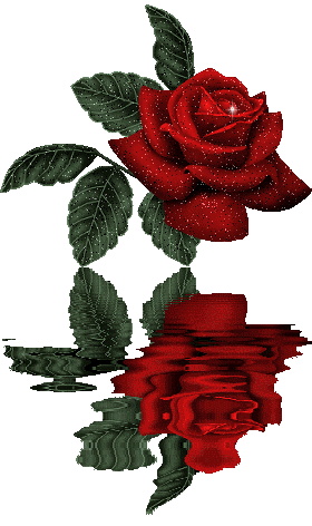 flower_reflection-32594