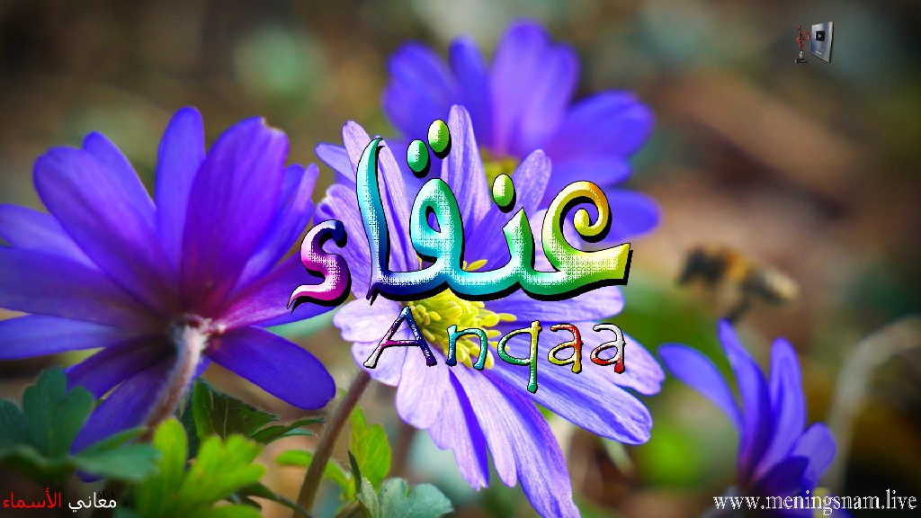 معنى اسم, عنقاء, وصفات, حاملة, هذا الاسم, Anqa,