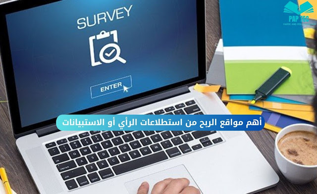 profit from surveys