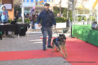 Esibizione dei Cinofili della Polizia di Stato