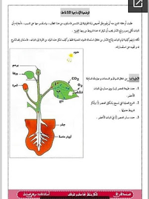 اختبارات الفصل الثاني في مادة العلوم الطبيعية للسنة الاولى  متوسط 2021