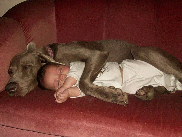 23 Adorable Pictures Prove Why Every Kid Should Have A Pet