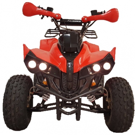 Panthor 2 125 Quad Bikes/New Model in 2018 Dimensions 458×458
