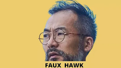 FAUX HAWK Hair style