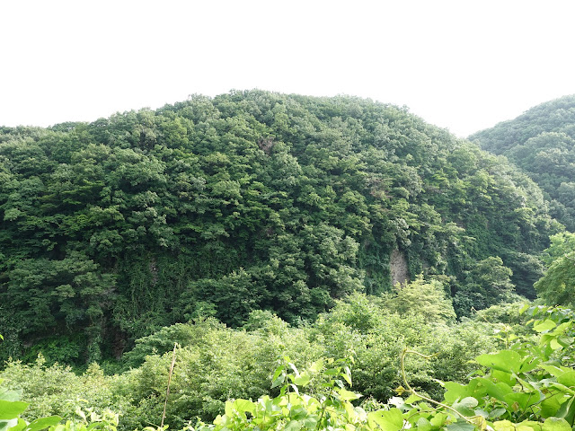 鳥取県西伯郡伯耆町福兼　大江川管理用道路　周りの眺望