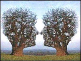 Two Trees and Two Face Illusion