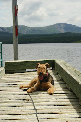 me at Trout River Pond