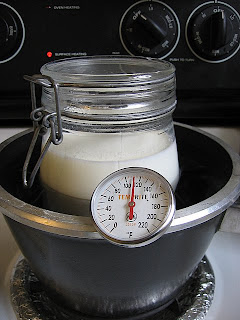 Haciendo yogurt de coco | coconut yogurt rig