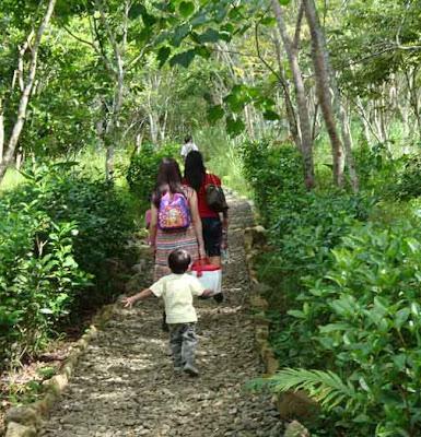 Ayala Height Natures Park